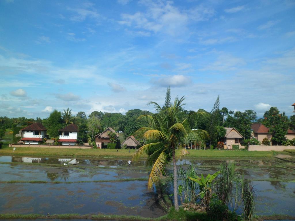 Nuriani Rooms Ubud Esterno foto